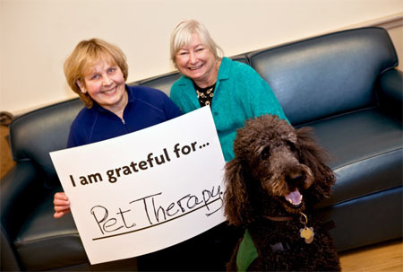 WHAT CONDITIONS/DISORDERS DOES ANIMAL-ASSISTED THERAPY TREAT?