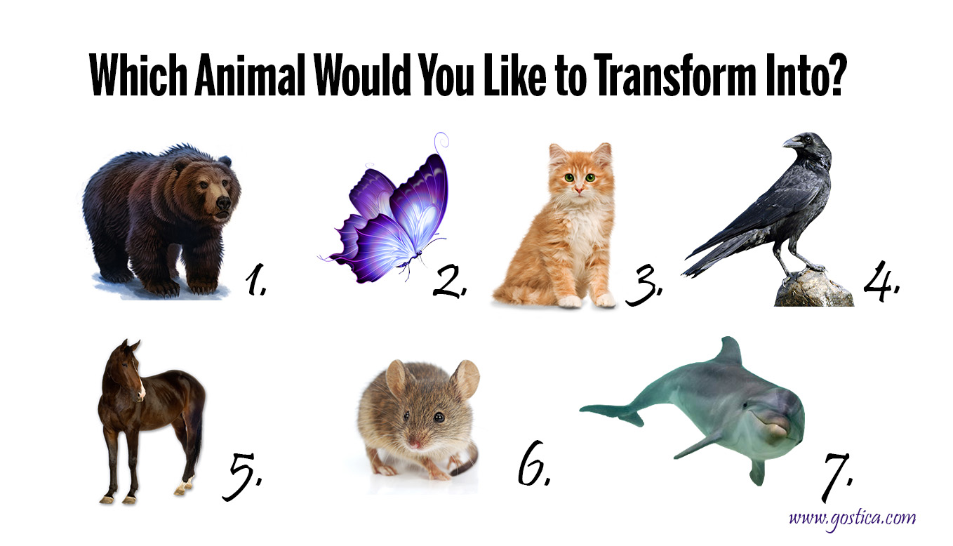 Which-Animal-Would-You-Like-to-Transform-Into.jpg