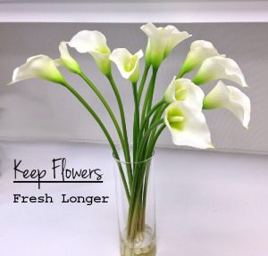 Keep-Fresh-Flowers.jpg