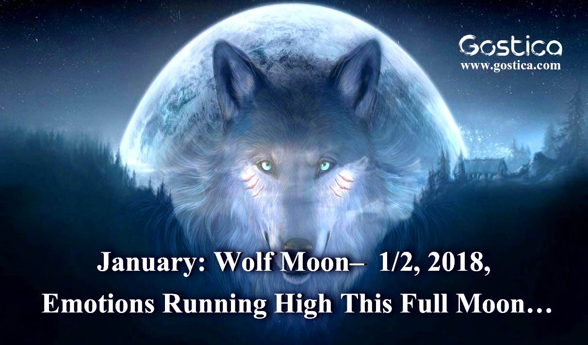 Wolf-Moon.jpg