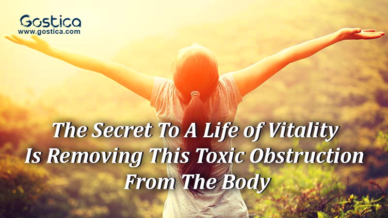 The-Secret-To-A-Life-of-Vitality-Is-Removing-This-Toxic-Obstruction-From-The-Body.jpg