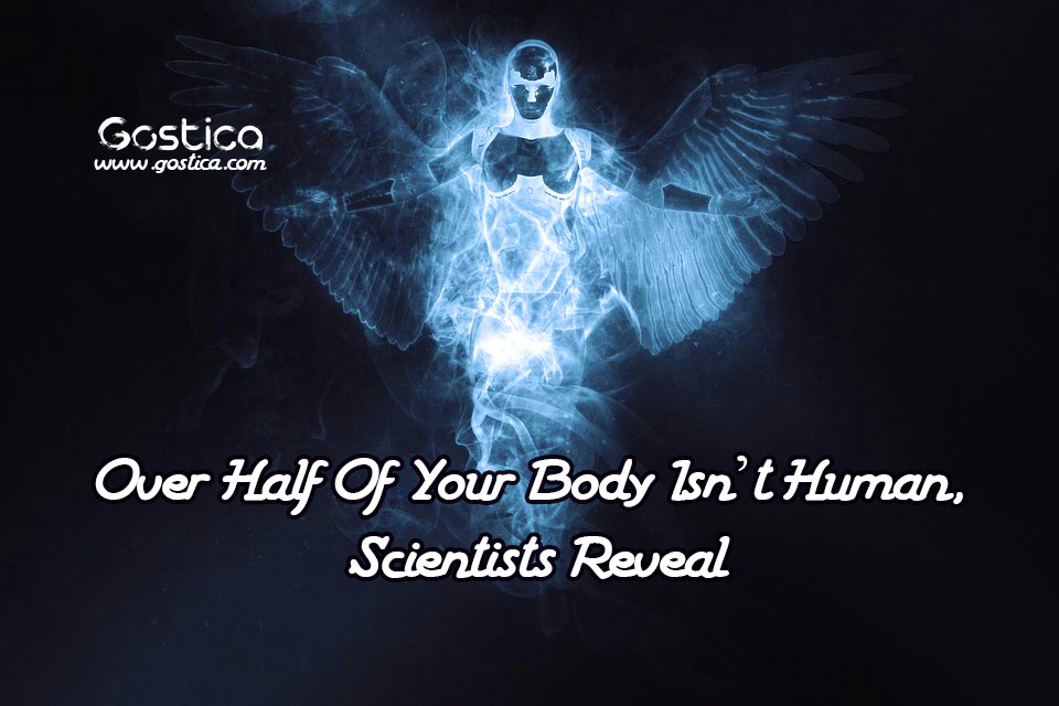 Over-Half-Of-Your-Body-Isn’t-Human-Scientists-Reveal.jpg