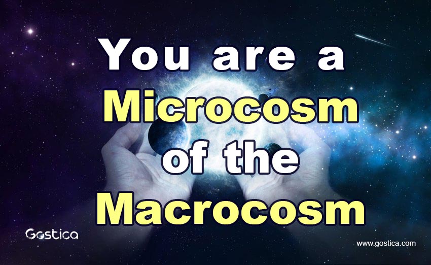 You-are-a-Microcosm-of-the-Macrocosm.jpg