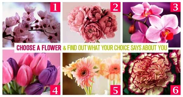 CHOOSE-A-FLOWER-AND-FIND-OUT-WHAT-YOUR-CHOICE-SAYS-ABOUT-YOU.jpg