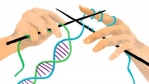 The Human Race with three strands of DNA?