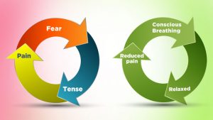conscious-breathing-fear-tense-pain-cycle