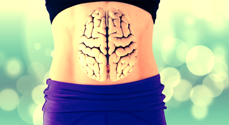Our Second Brain - The Gut Feels, Acts and Recalls More Than The Head