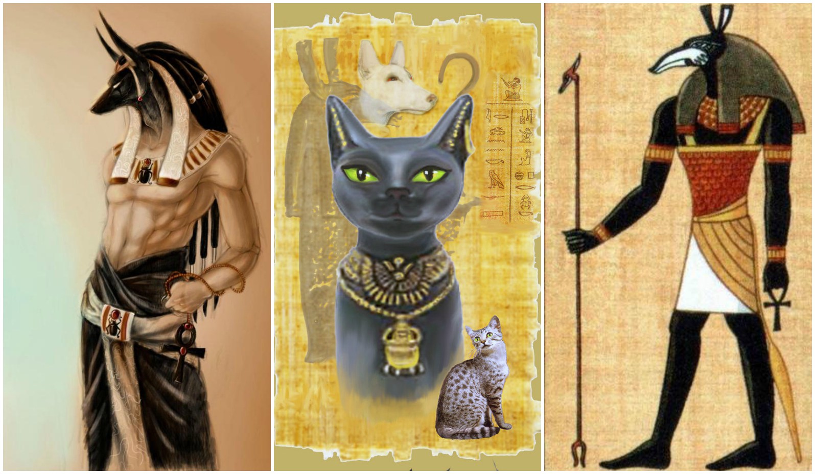 The 12 Ancient Egyptian Astrology Signs and Their Characteristics
