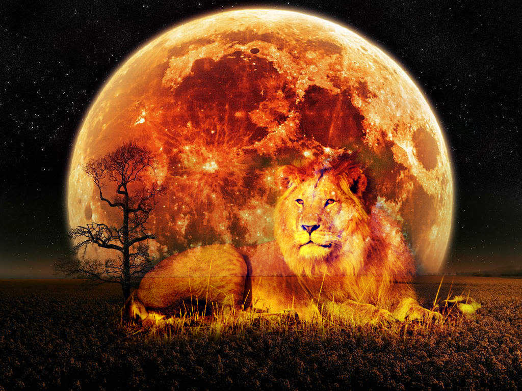 10 February 2017, Full Moon and Lunar Eclipse in Leo The Opening of a
