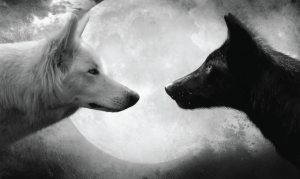 The Tale of Two Wolves: 10 Seconds to Read, But the Life-Changing Lesson Lasts Forever
