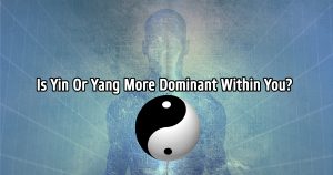 Yin Or Yang What Is More Dominant Within You? - TEST