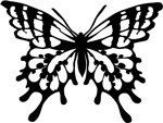 butterfly Celtic Animal Zodiac and Sign Meanings