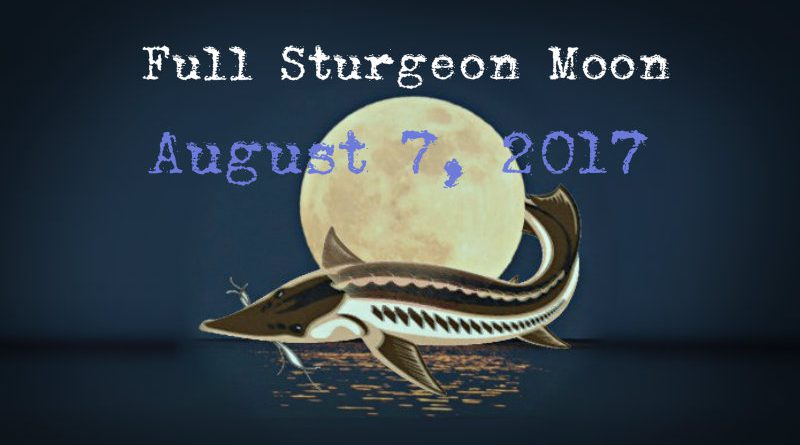 full-moon-in-aquarius-august-7th-2017-a-metamorphic-turning-point-with-intense-energy