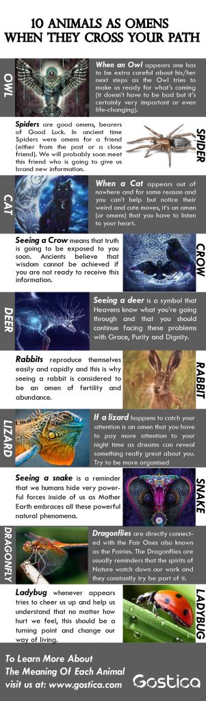10 Animals As Omens When They Cross Your Path Infographic