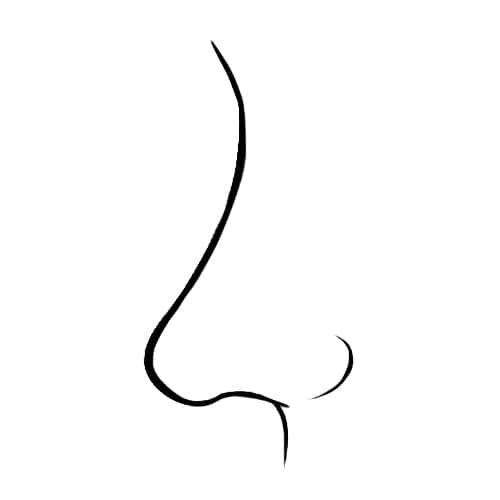 This Is What The Shape Of Your Nose Reveals About Your Personality ...