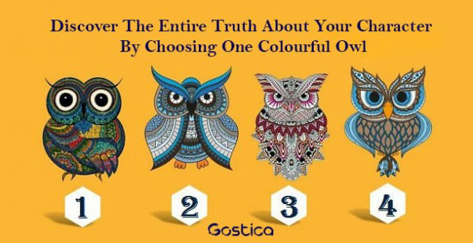 Discover-The-Entire-Truth-About-Your-Character-By-Choosing-One-Colourful-Owl1.jpg