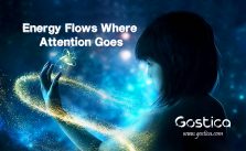 Energy Flows Where Attention Goes – GOSTICA