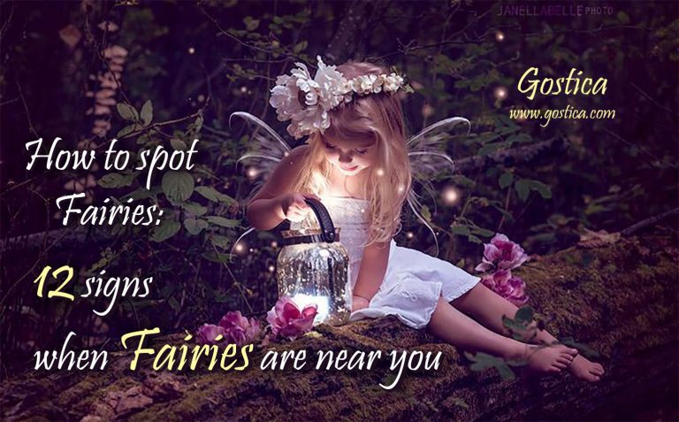 How to spot Fairies: 12 signs when Fairies are near you – GOSTICA