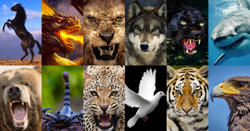This is What Your Birth Animal Reveals About Your Personality