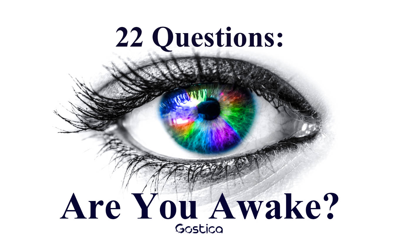 22 Questions Are You Awake GOSTICA