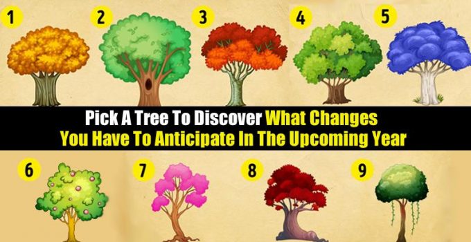 Pick-A-Tree-To-Discover-What-You-Have-To-Look-Forward-To-For-2018.jpg
