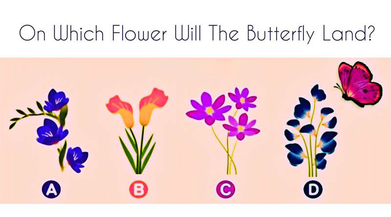 Which-Flower-Will-The-Butterfly-Land-On-The-Answer-Reveals-The-Truth-About-Your-Relationship.jpg