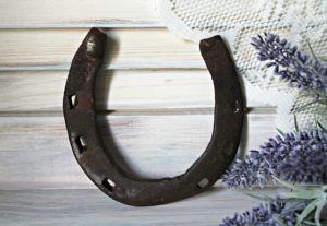 Scorpios-go-for-the-standard-horseshoe.jpg