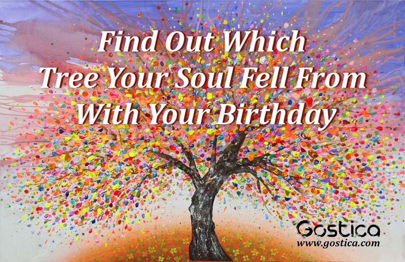 Find-Out-Which-Tree-Your-Soul-Fell-From-With-Your-Birthday.jpg
