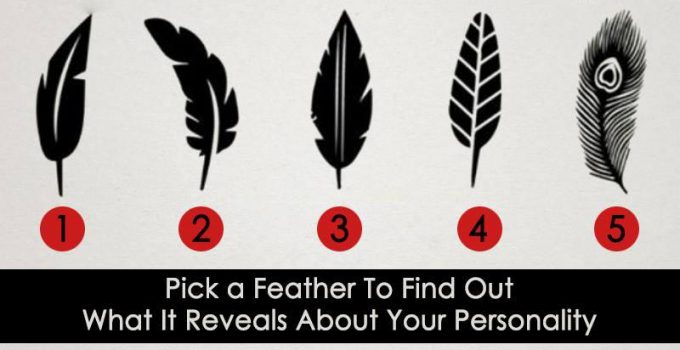 Pick-a-Feather-Discover-What-It-Says-About-Your-Personality.jpg