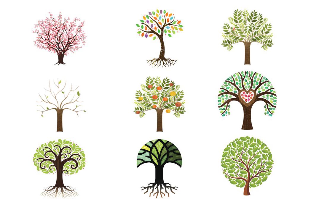Psychologists-Say-The-Tree-Your-Eye-Is-Drawn-To-Reveals-Your-Dominant-Personality-Trait.jpg