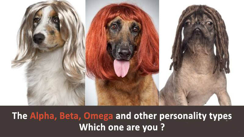 The-Alpha-Beta-Omega-and-other-Personality-Types-–-Which-one-are-you.jpg
