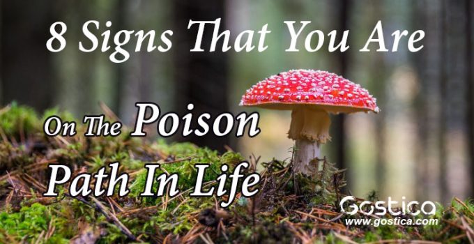 8-Signs-That-You-Are-On-The-Poison-Path-In-Life.jpg