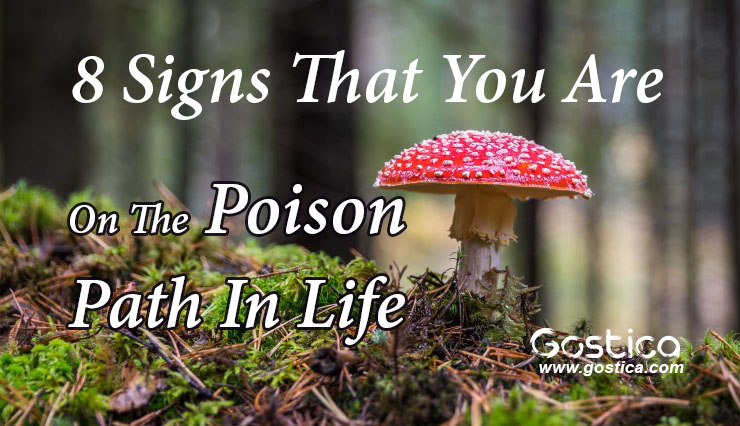 8-Signs-That-You-Are-On-The-Poison-Path-In-Life.jpg