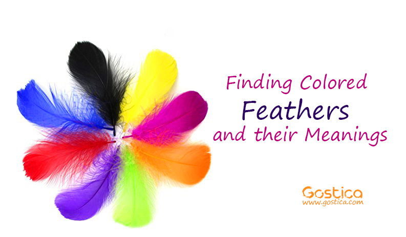 Finding Colored Feathers And Their Meanings 