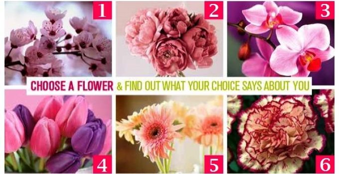CHOOSE-A-FLOWER-AND-FIND-OUT-WHAT-YOUR-CHOICE-SAYS-ABOUT-YOU.jpg