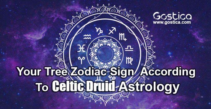 Your-Tree-Zodiac-Sign-–-According-To-Celtic-Druid-Astrology.jpg