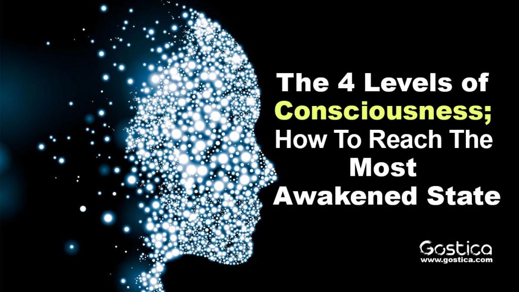 the evolution of consciousness vishen