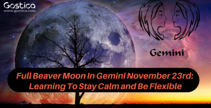 Full Beaver Moon In Gemini November 23rd: Learning To Stay Calm and Be Flexible