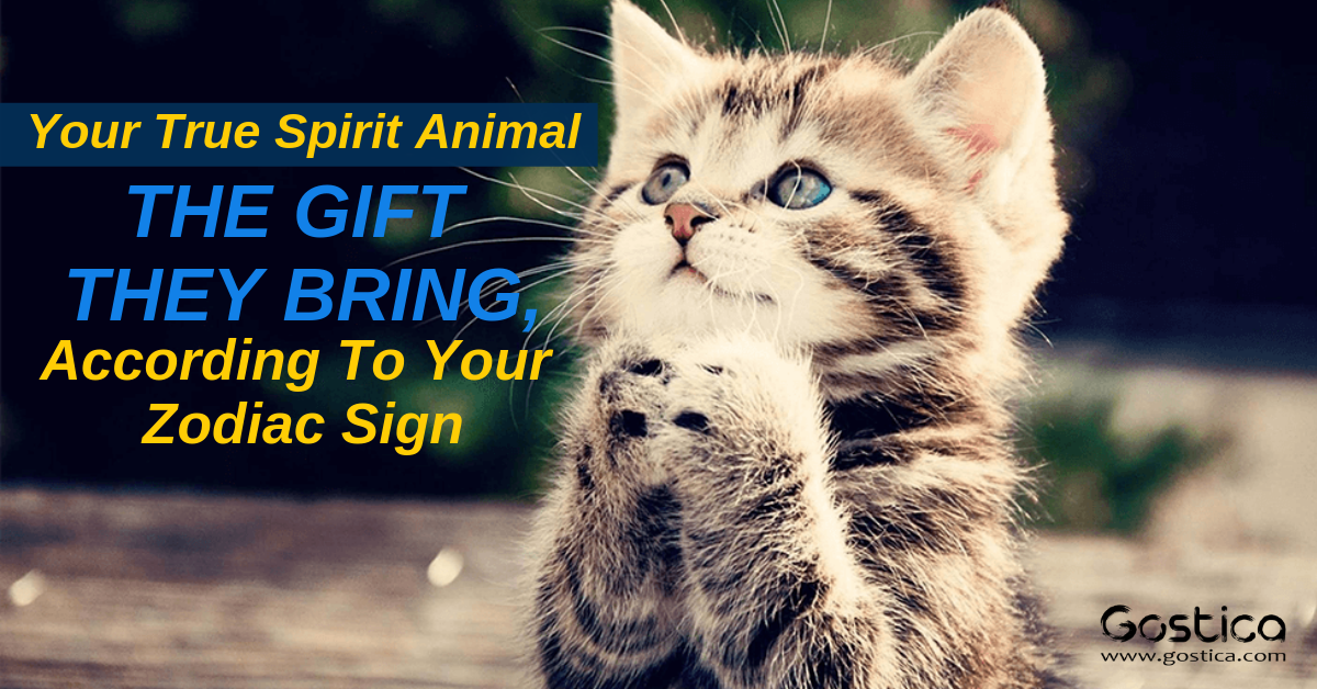 Your True Spirit Animal And The Gift They Bring, According To Your Zodiac Sign